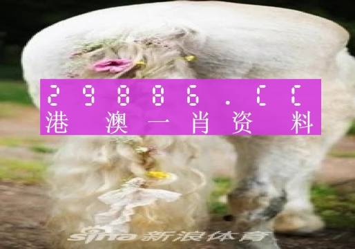 资讯 第9页